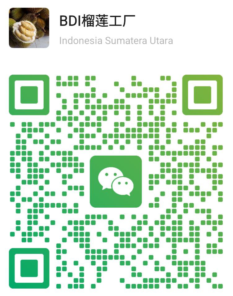 Wechat indonesian durian factory