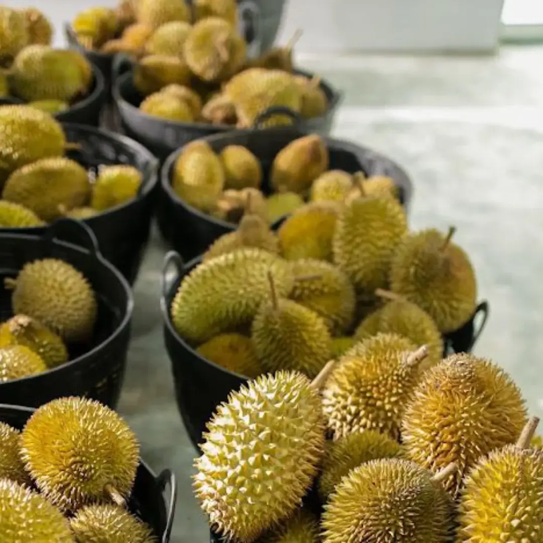 Durian fresh