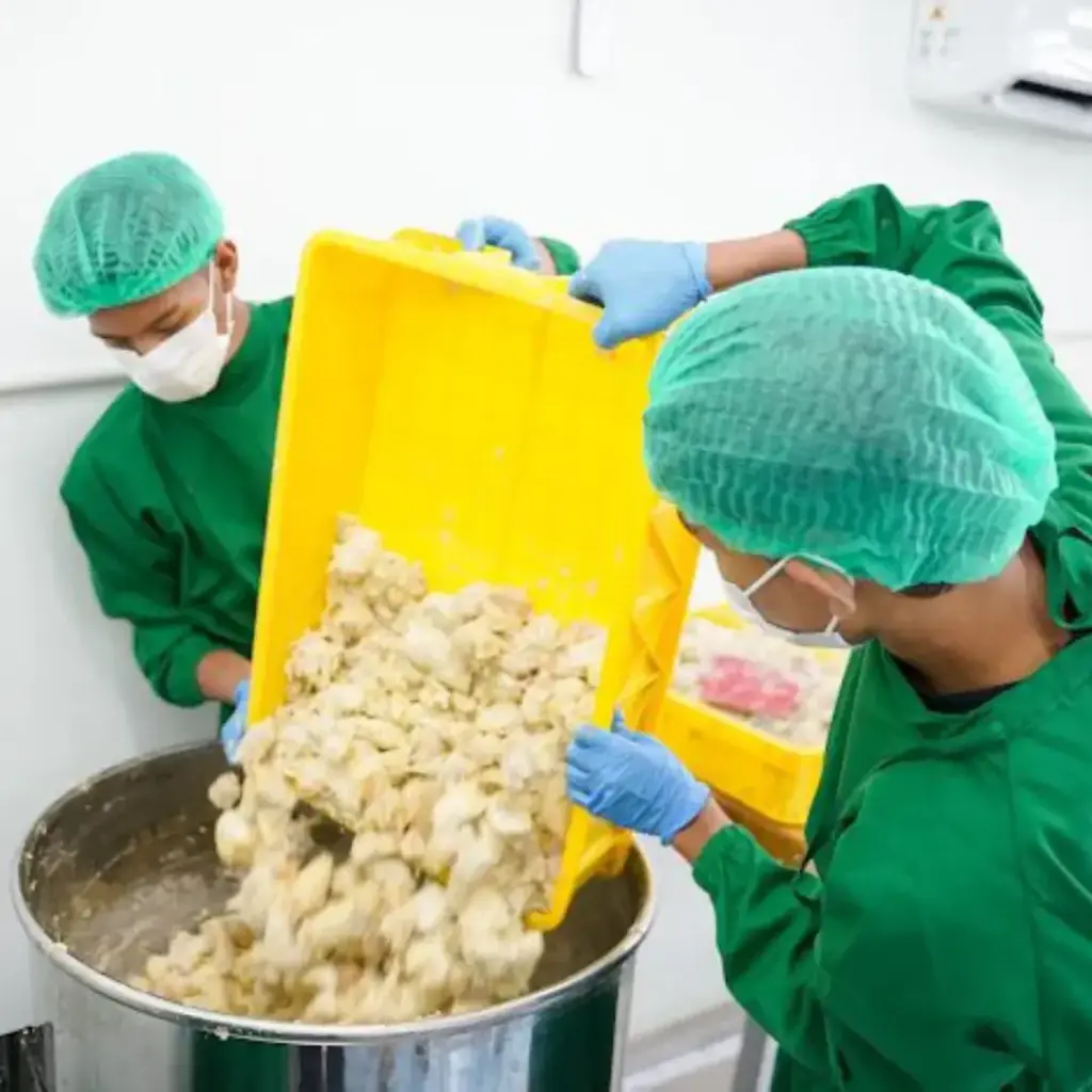 Durian paste supplier